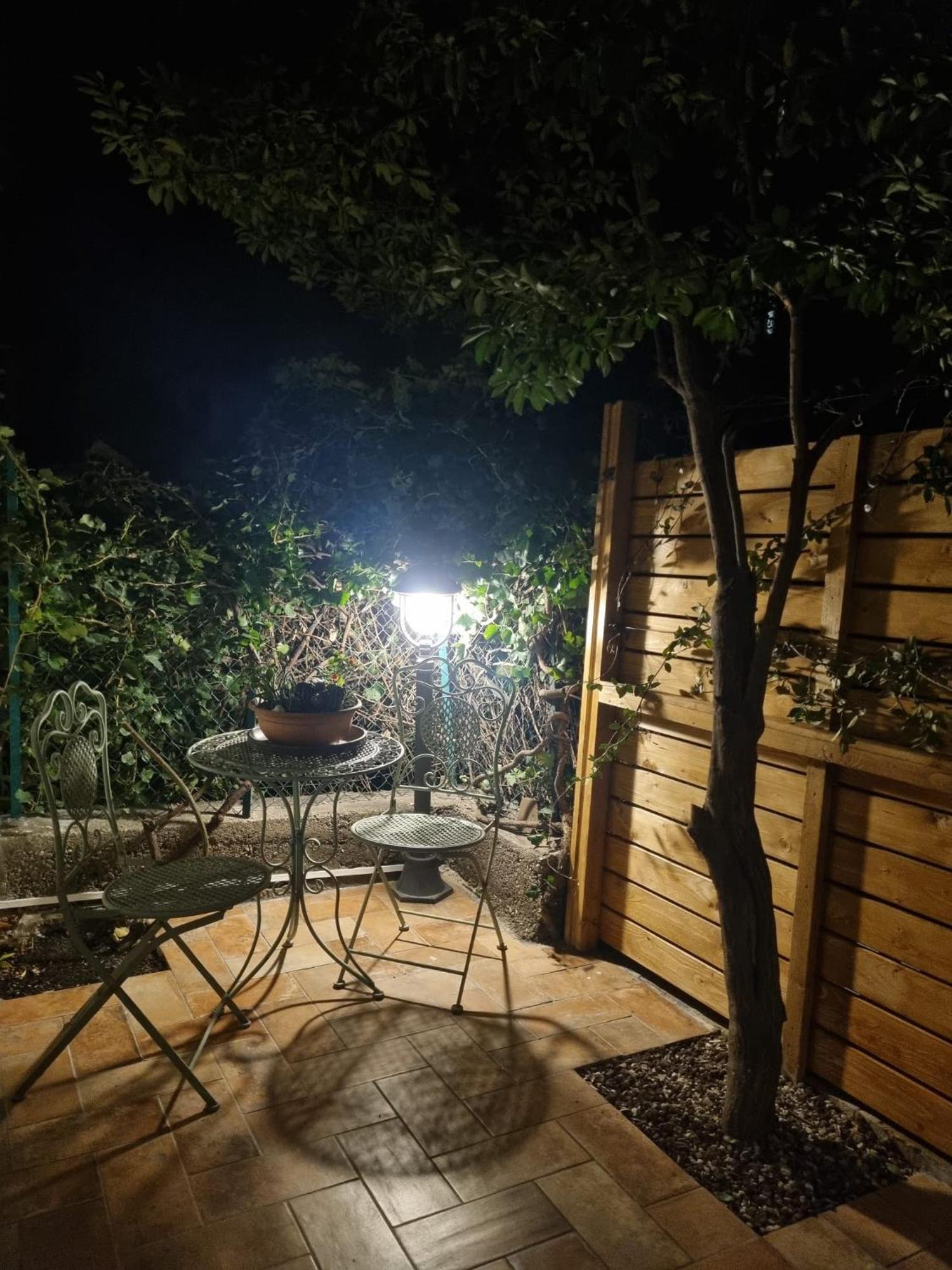 Cavana Cosy Apartment With Garden Near The Sea Trieste Eksteriør bilde